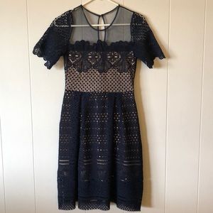 Royal Blue Eyelet Dress